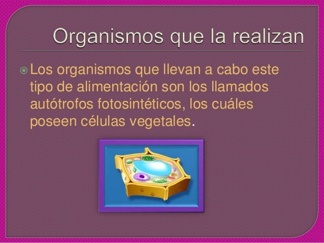 Descargar diapositivas de la fotosintesis 98 Descargar diapositivas de la fotosintesis 74
